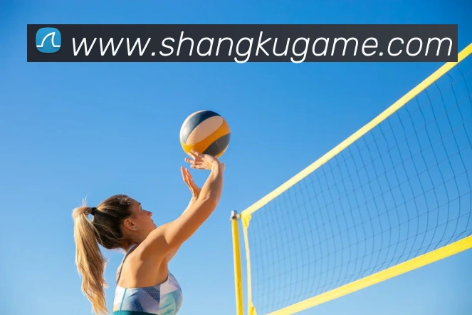 奖项2